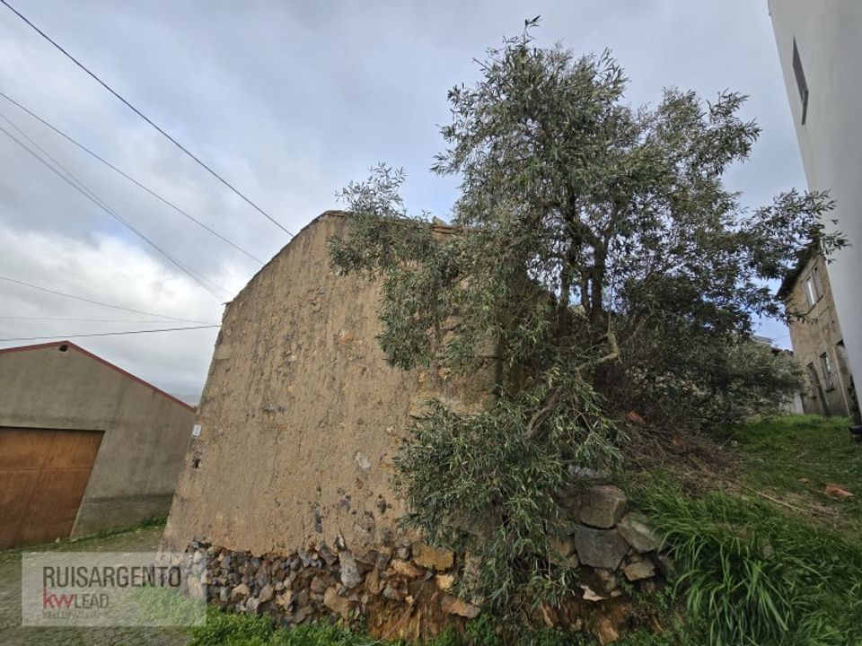 Villa i Castelo Branco, Castelo Branco - foto 2