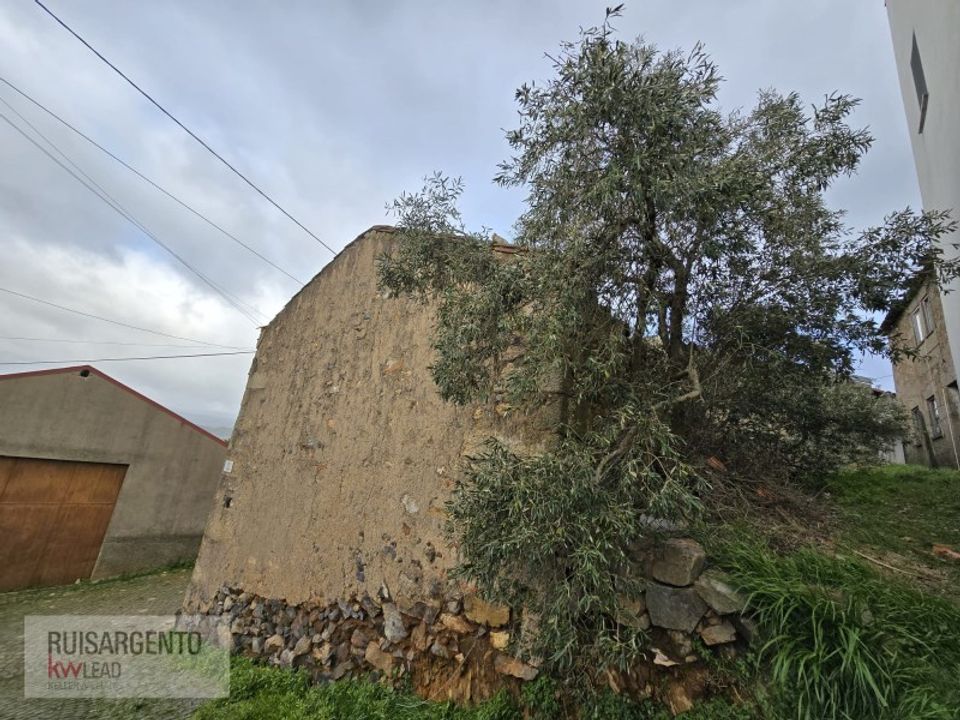 Villa i Castelo Branco, Castelo Branco - foto 4
