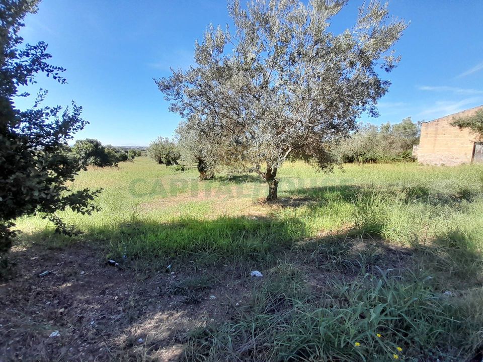 Helårsgrund i Pastorano, Caserta - foto 2
