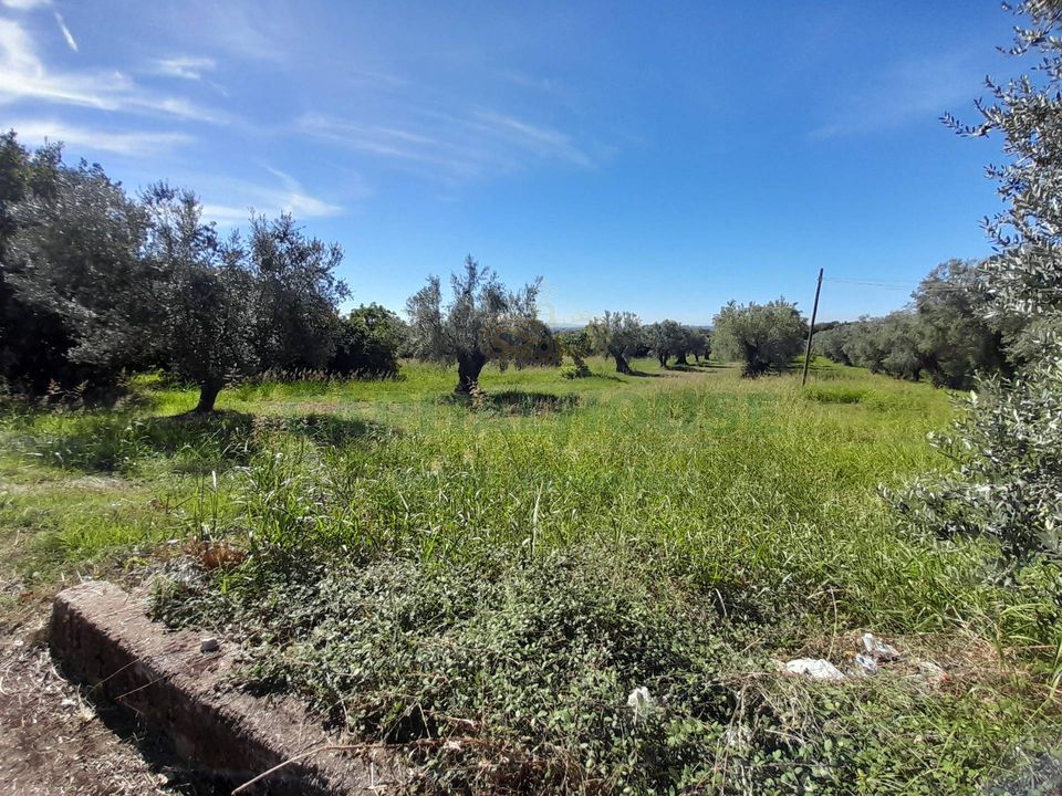 Helårsgrund i Pastorano, Caserta - foto 4