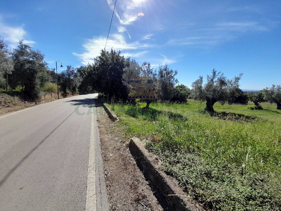 Helårsgrund i Pastorano, Caserta - foto 5