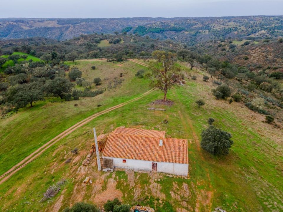 Farm in Serpa, Beja - photo 1