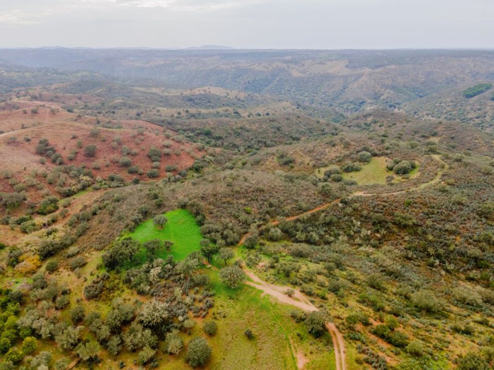Farm in Serpa, Beja - photo 3