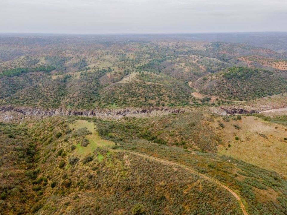 Farm in Serpa, Beja - photo 5