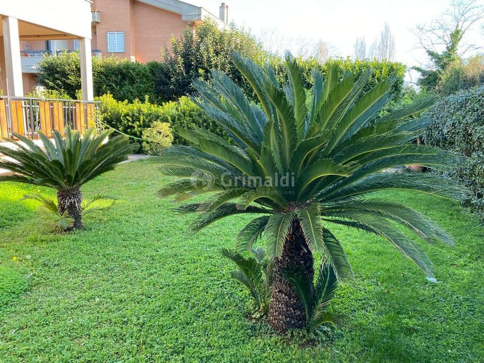 Villa Anzio, Rome - foto 1