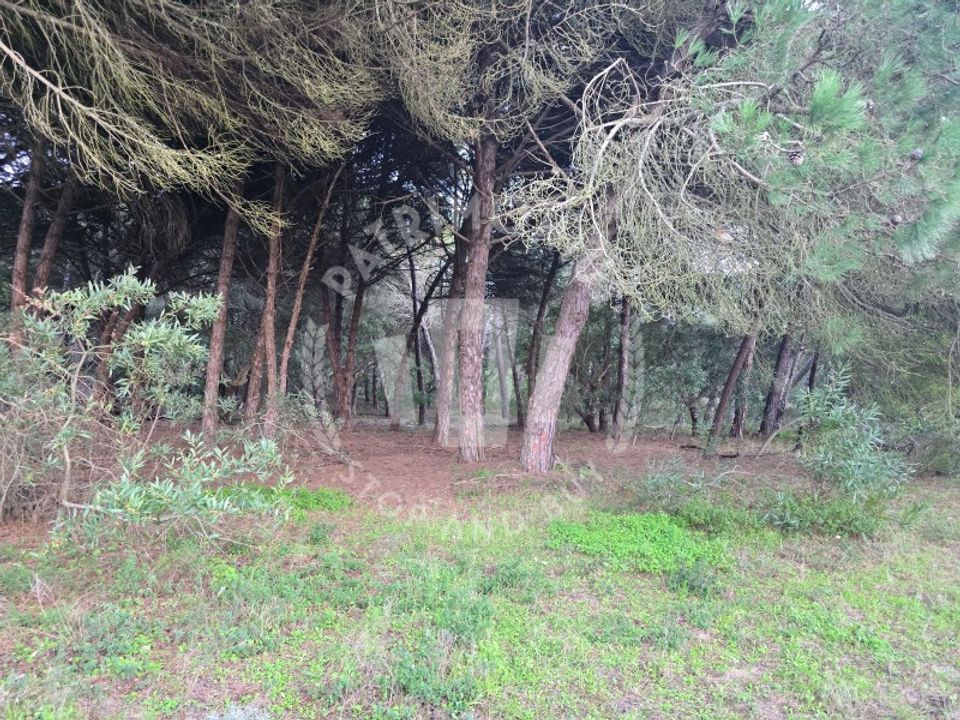 Helårsgrund i Sines, Setubal - foto 1