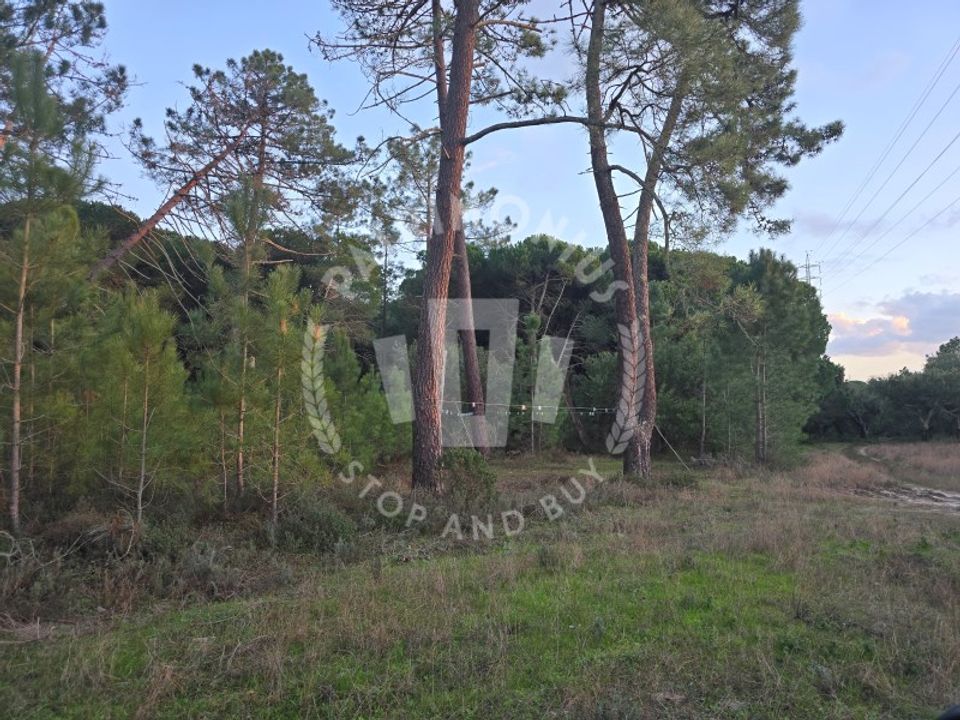 Helårsgrund i Sines, Setubal - foto 2