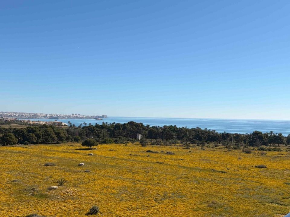 Lejlighed i Orihuela Costa, Alicante - foto 1