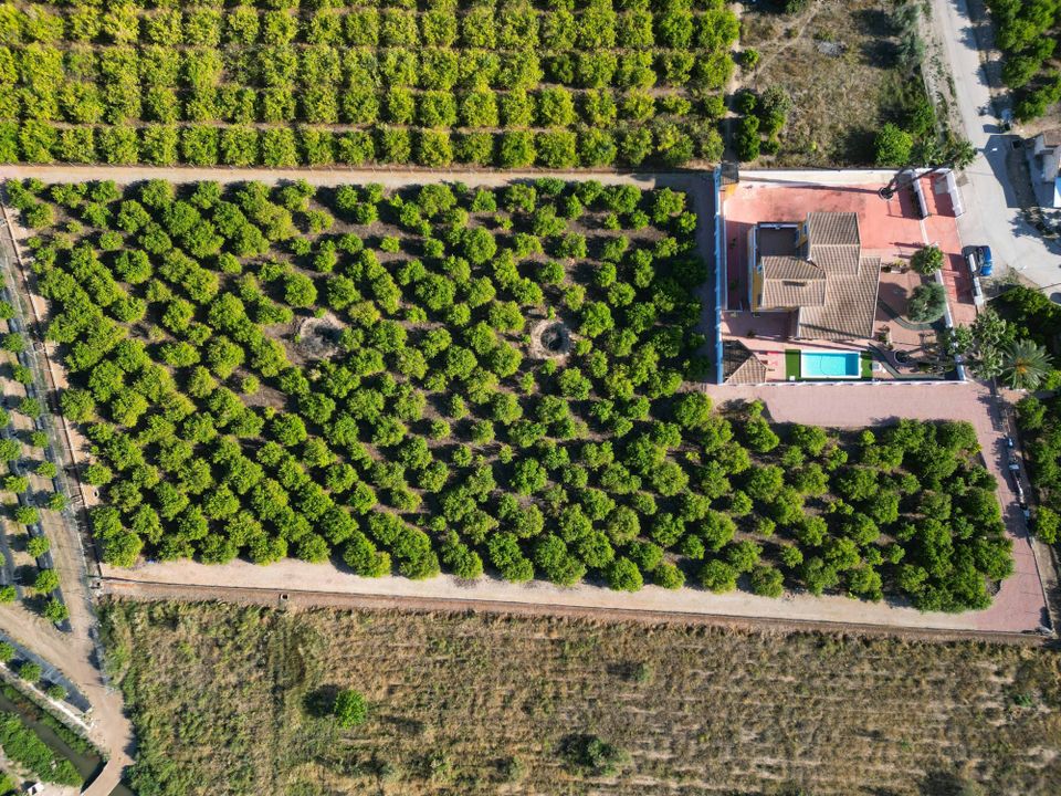 Finca i Orihuela, Alicante - foto 2