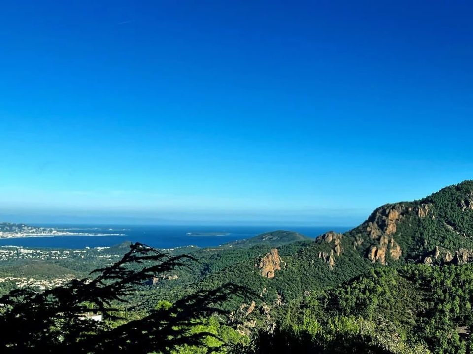 Villa i Mandelieu-la-Napoule, Alpes-Maritimes - foto 1