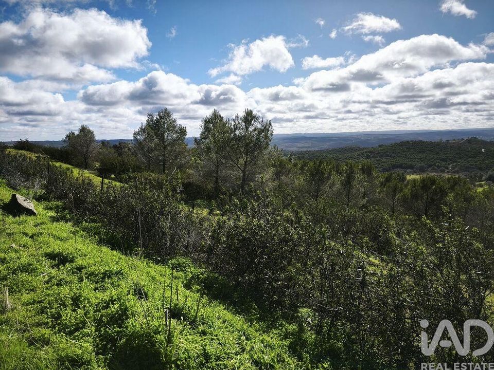 Helårsgrund i Mertola, Beja - foto 2