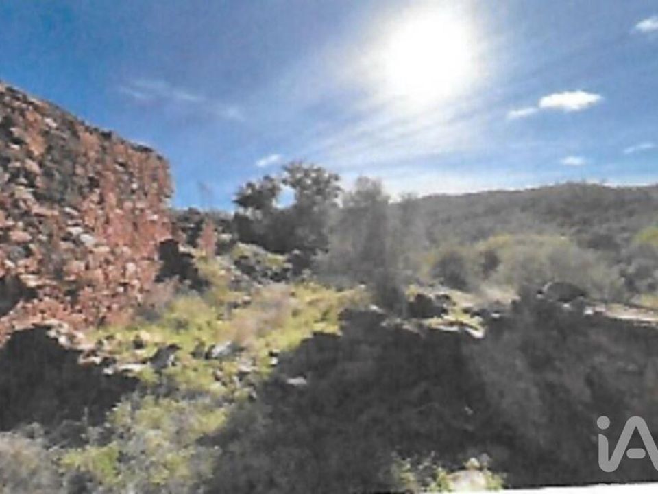 Helårsgrund i Sao Bras de Alportel, Faro - foto 4