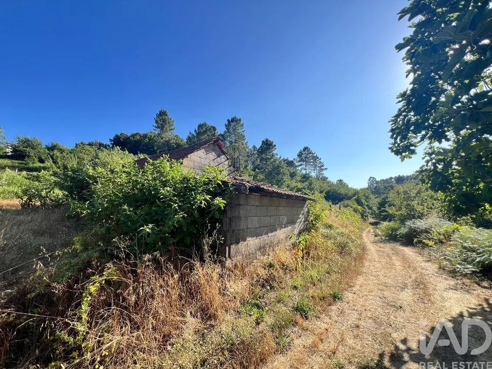 Farm i Amarante, Porto - foto 3