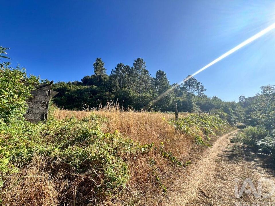 Farm i Amarante, Porto - foto 4