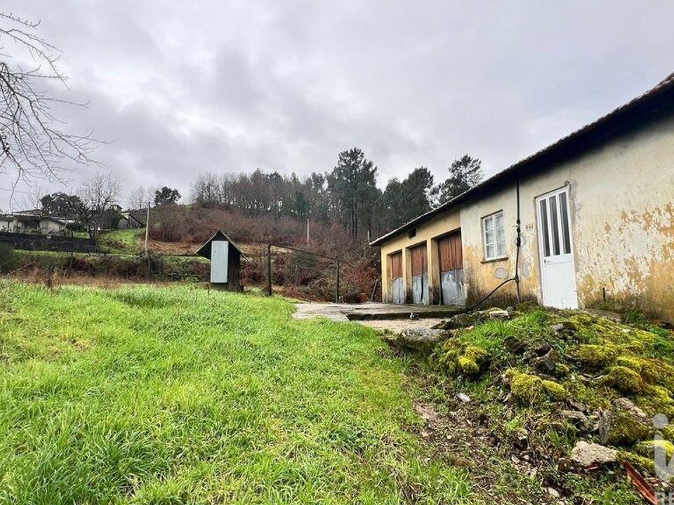 Farm i Amarante, Porto - foto 5