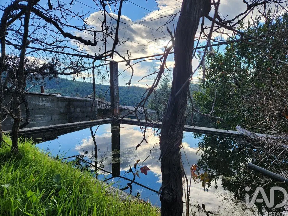 Gård i Fundao, Castelo Branco - bilde 3