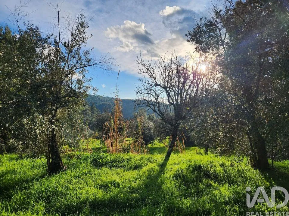 Gård i Fundao, Castelo Branco - bilde 2