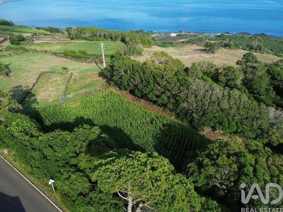 Terreno en Lajes do Pico, Pico - foto 1