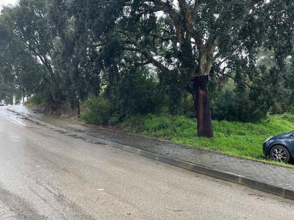 Tomt i Setubal, Setubal - bilde 4