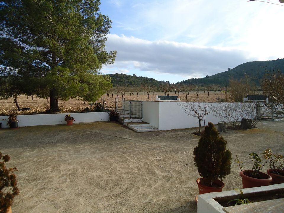 Landejendom i Yecla, Murcia - foto 4
