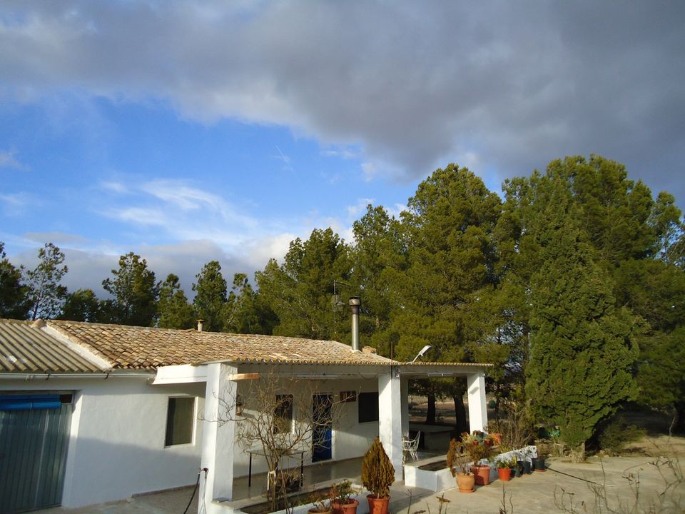 Landejendom i Yecla, Murcia - foto 2