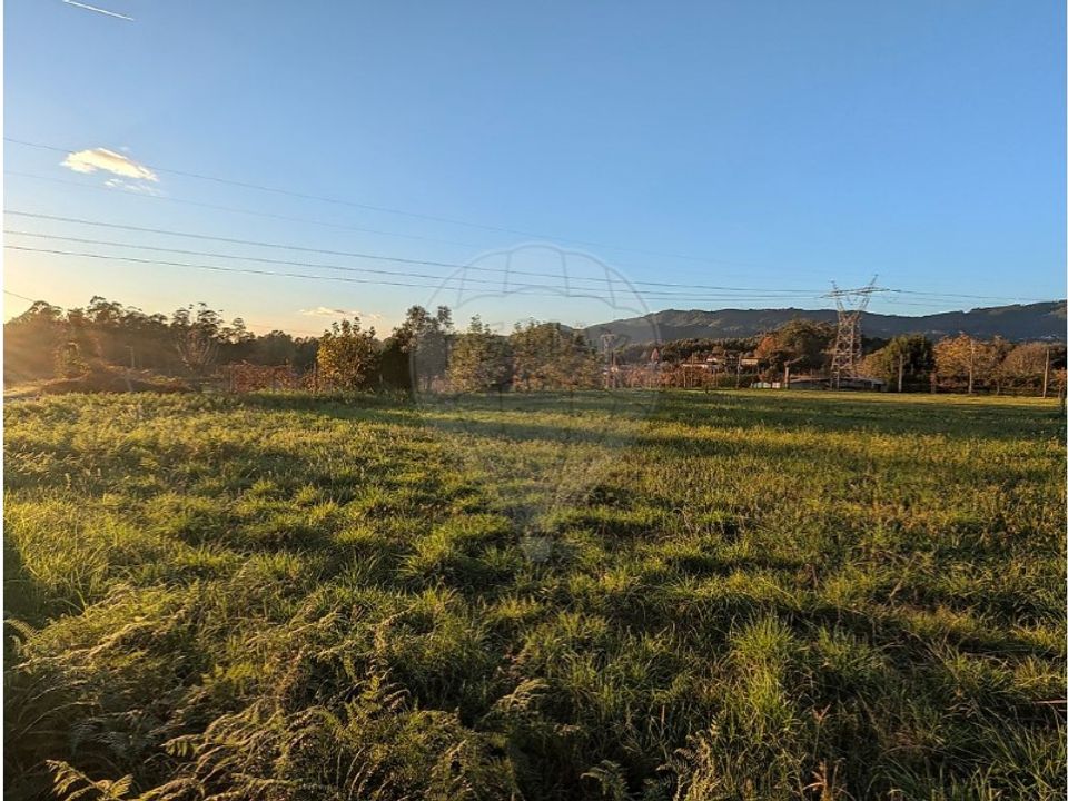 Helårsgrund i Braga, Braga - foto 4