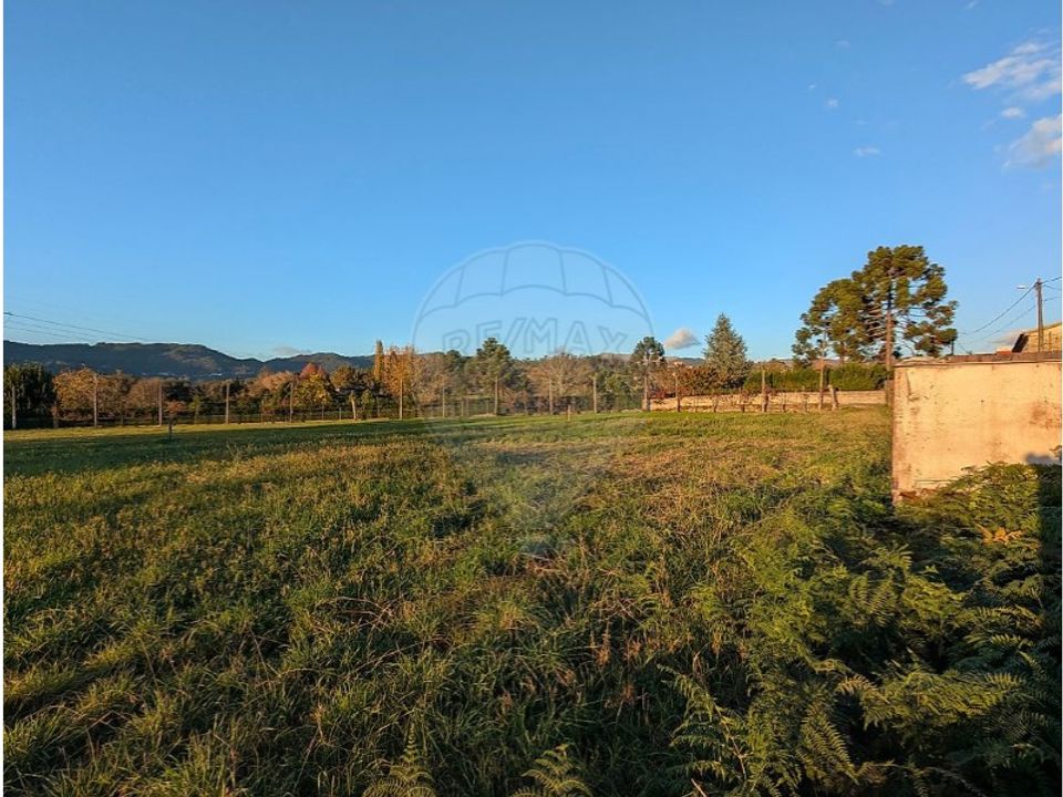 Helårsgrund i Braga, Braga - foto 2