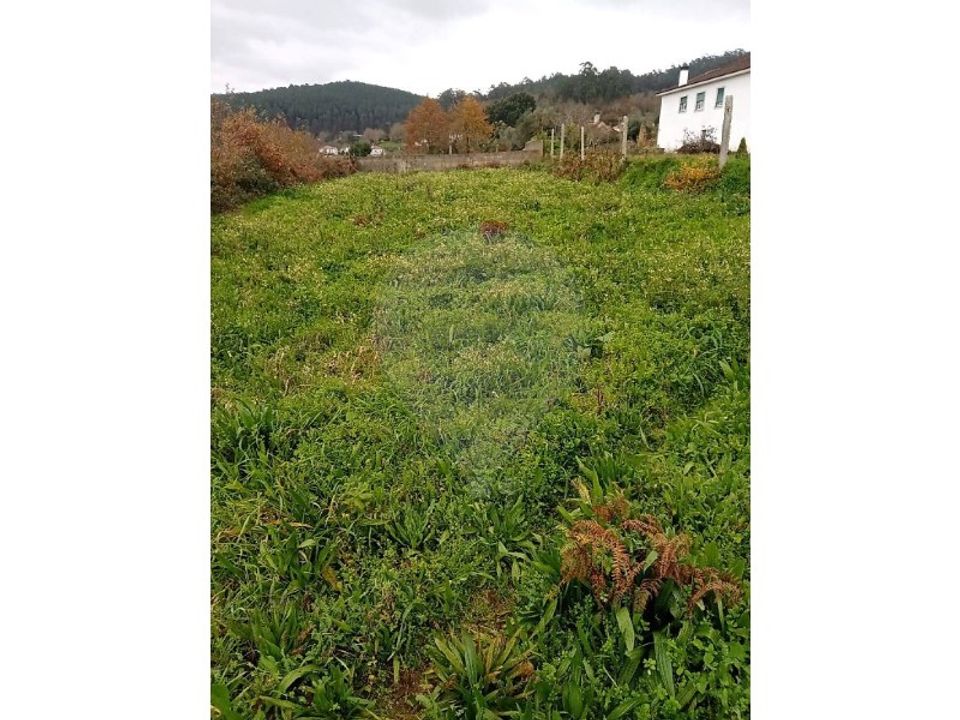 Helårsgrund i Valenca, Viana do Castelo - foto 5