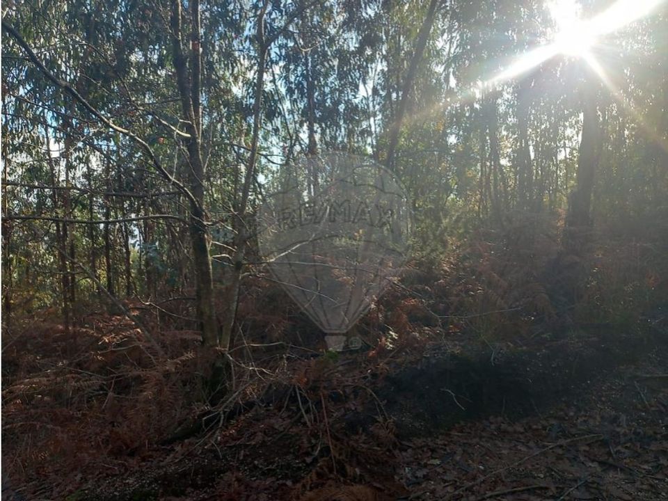 Helårsgrund i Guimaraes, Braga - foto 4
