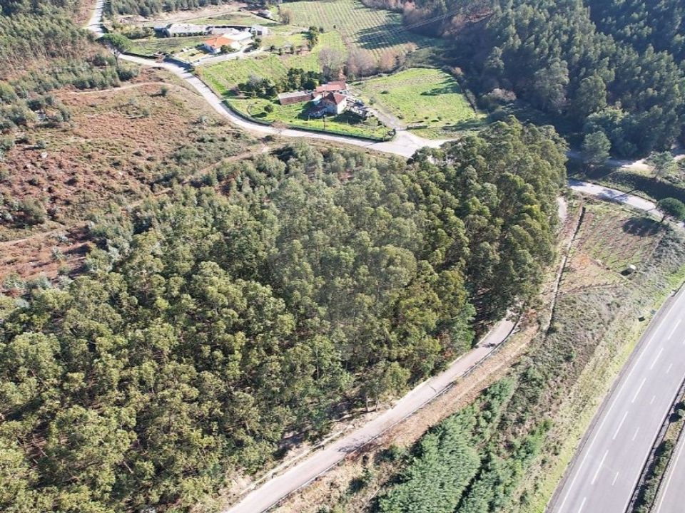 Helårsgrund i Guimaraes, Braga - foto 2