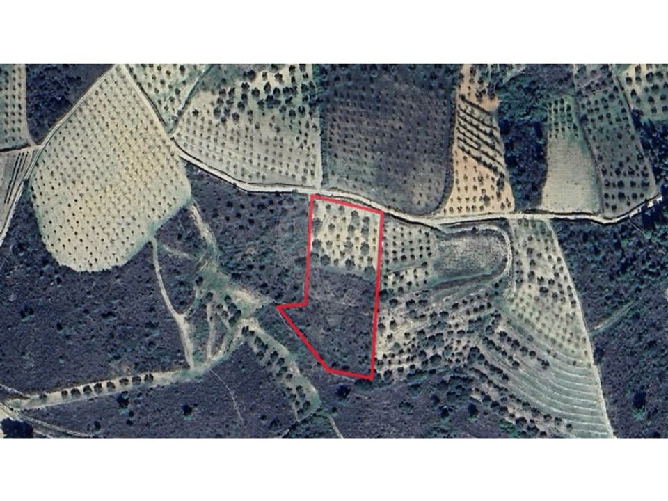 Helårsgrund i Valpacos, Vila Real - foto 1