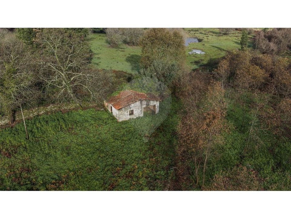 Farm i Ponte de Lima, Viana do Castelo - foto 3