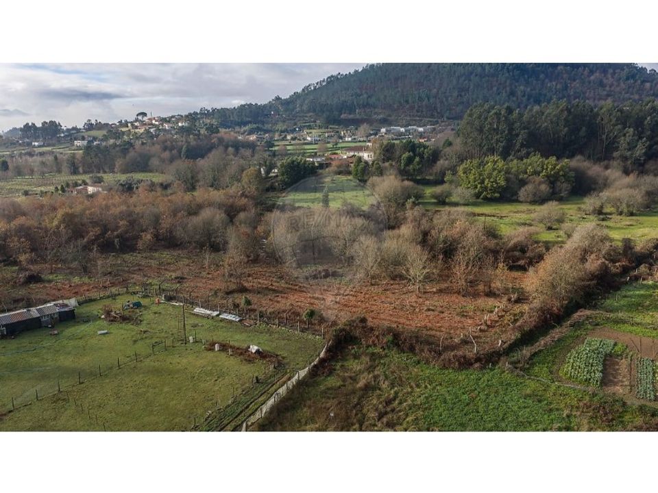 Farm i Ponte de Lima, Viana do Castelo - foto 4