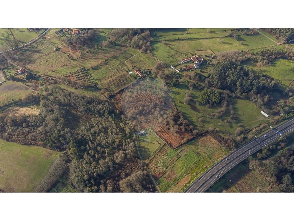 Farm i Ponte de Lima, Viana do Castelo - foto 5