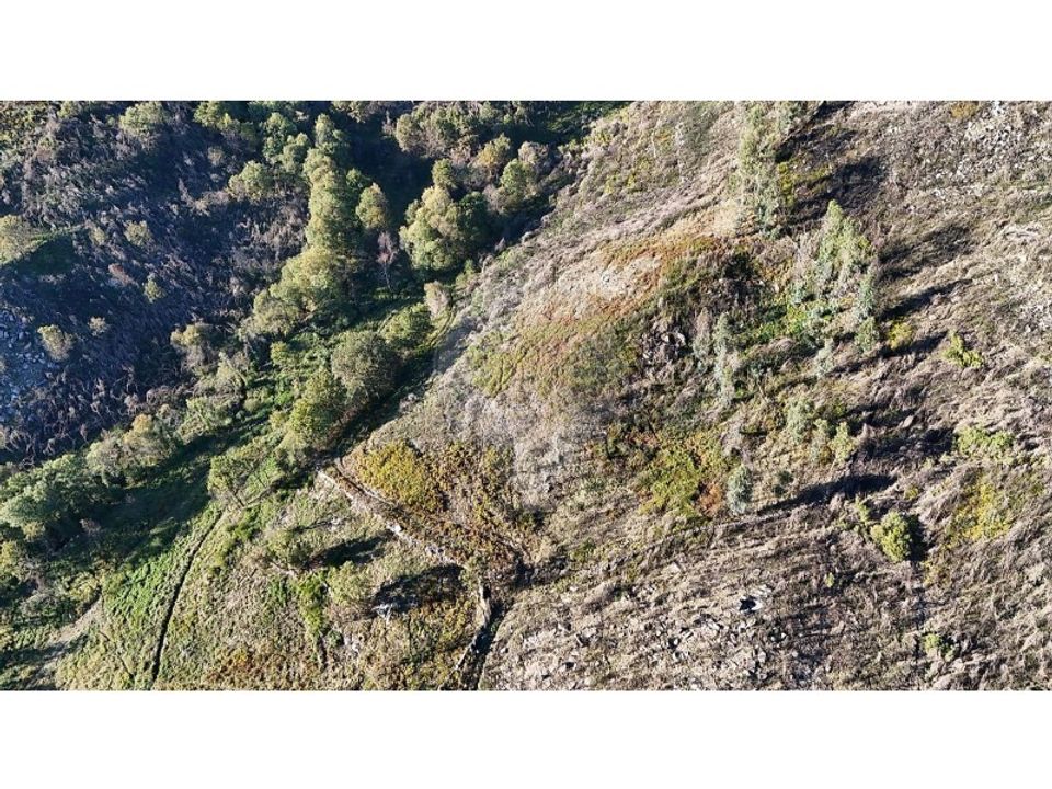 Helårsgrund i Cabeceiras de Basto, Braga - foto 3