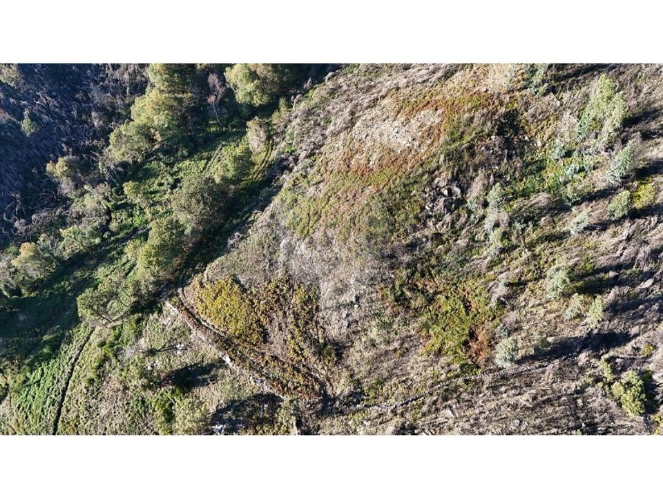 Helårsgrund i Cabeceiras de Basto, Braga - foto 4