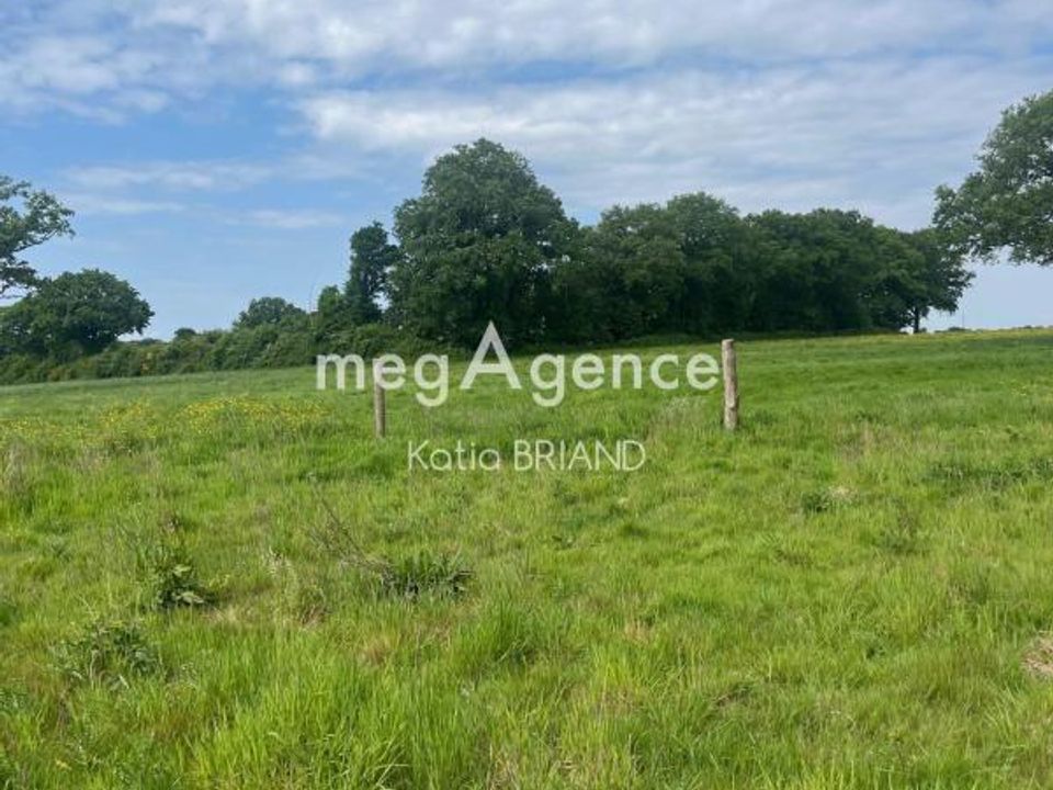 Helårsgrund i Saint-Berthevin, Mayenne - foto 1