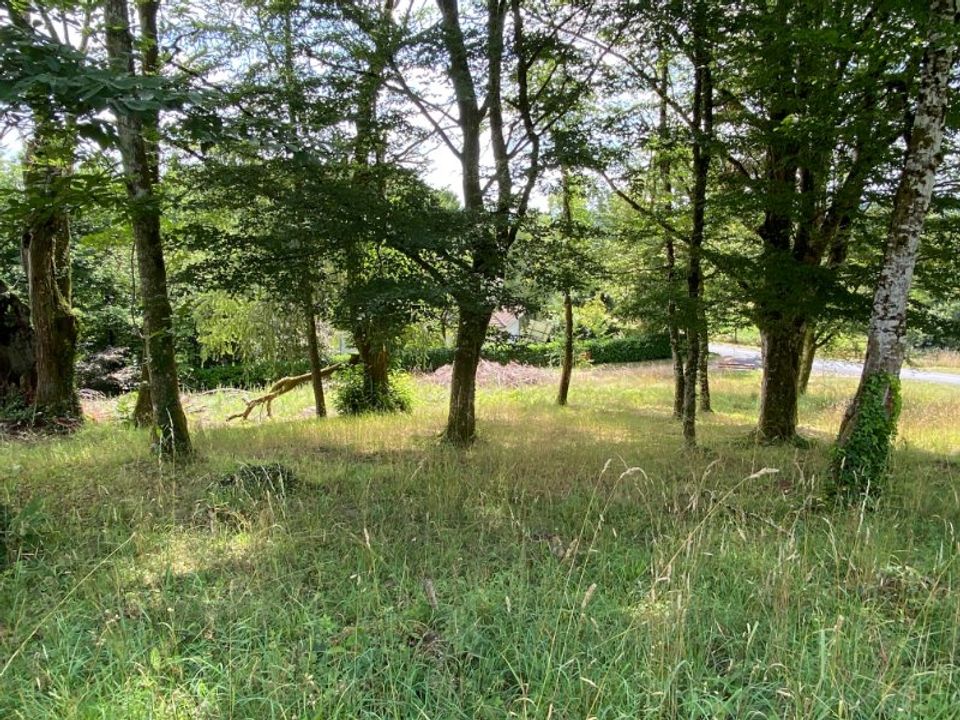 Tomt i Tulle, Correze - bilde 2