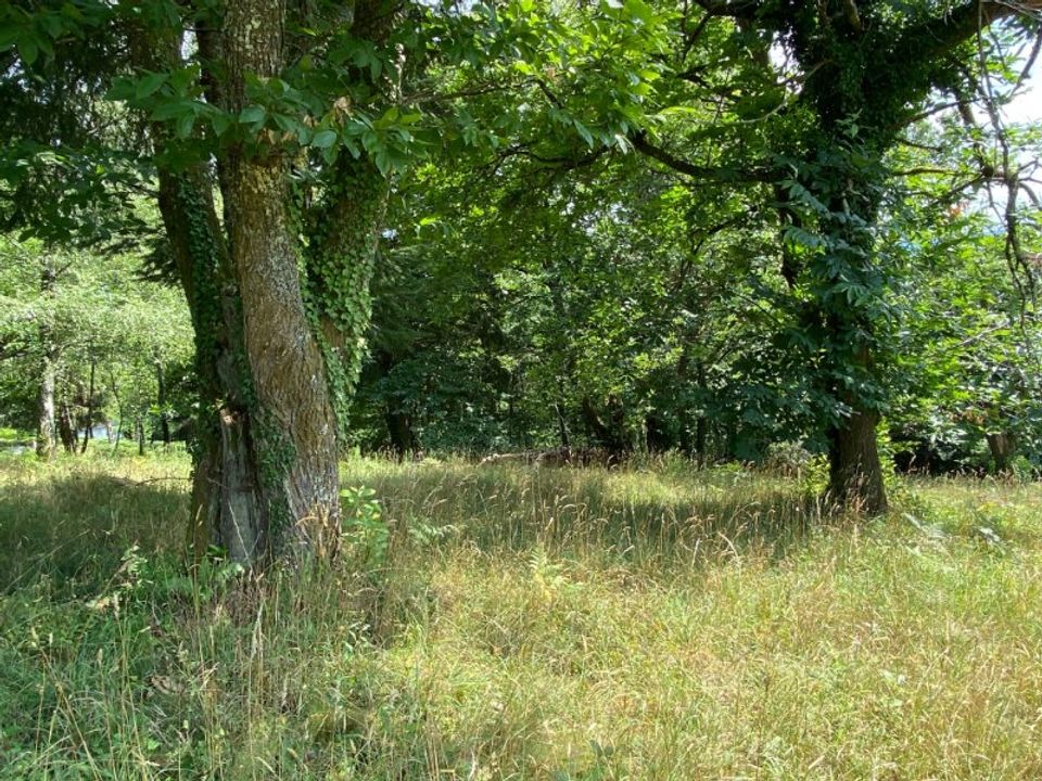 Tomt i Tulle, Correze - bilde 5
