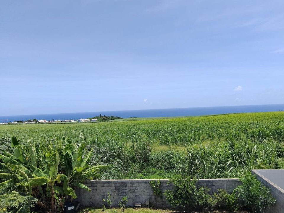 Villa i Sainte-Marie, La Reunion - foto 5