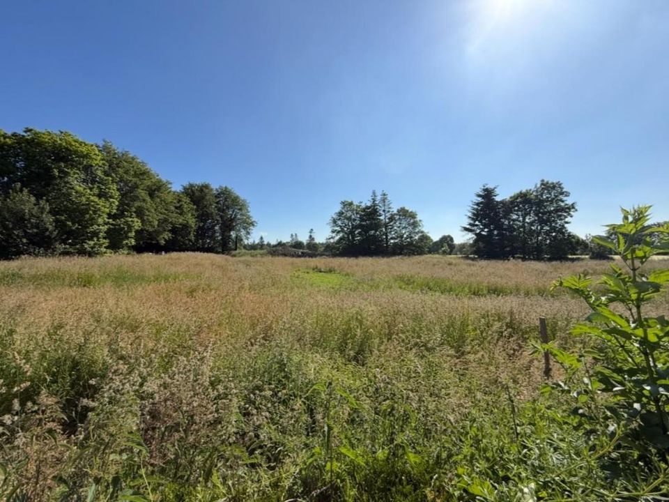 Helårsgrund i Pluherlin, Morbihan - foto 2