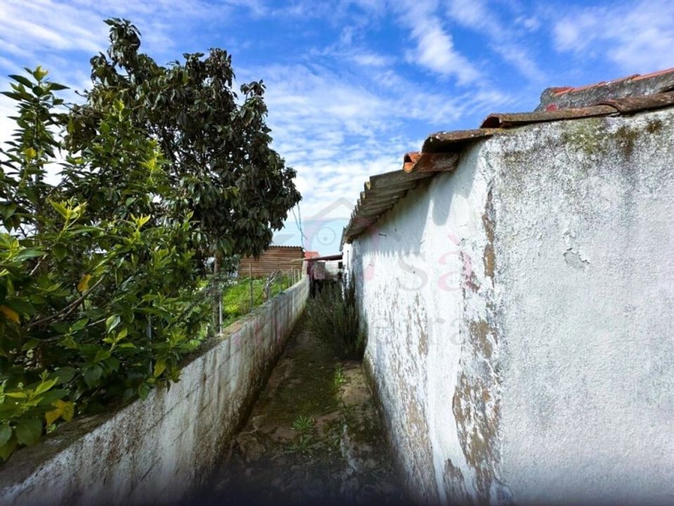 Farm i Sines, Setubal - foto 5