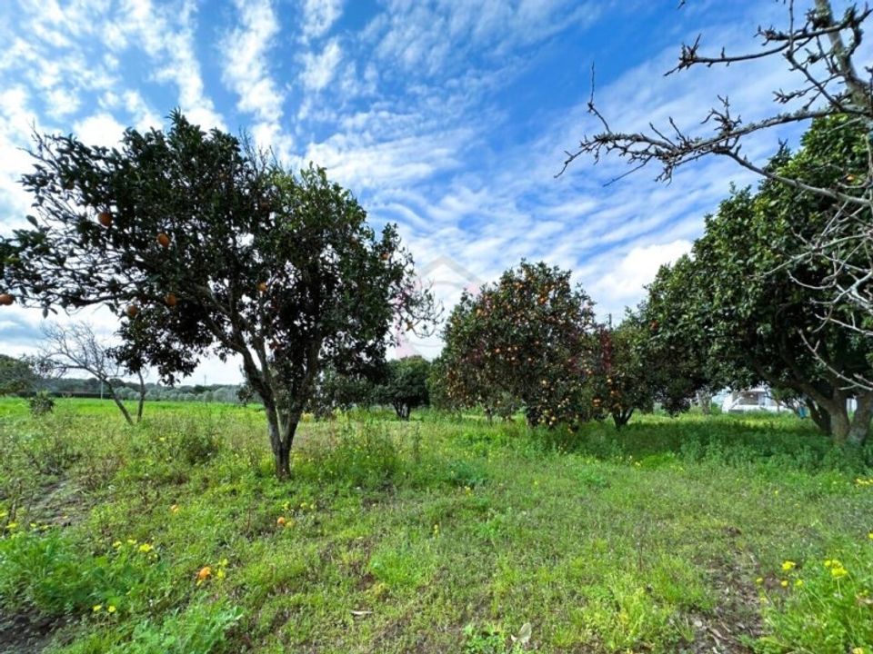 Farm i Sines, Setubal - foto 1