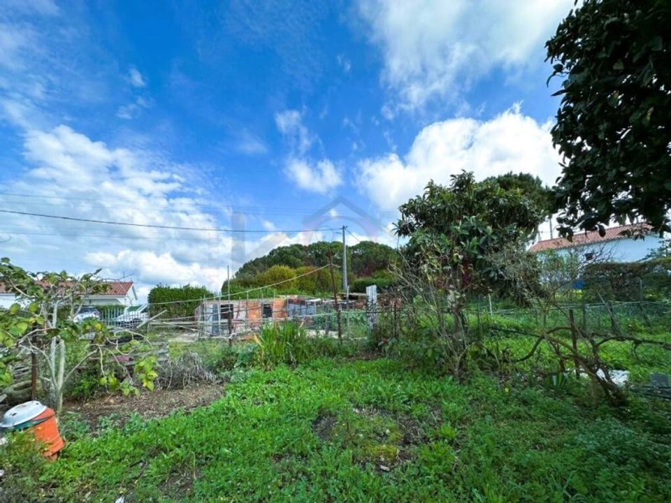 Farm i Sines, Setubal - foto 2