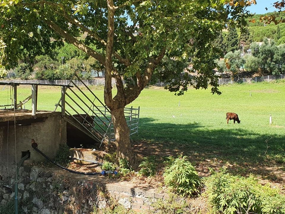 Helårsgrund i Oeiras, Lisbon - foto 1