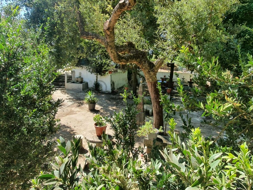 Terra a Oeiras, Lisbon - foto 4