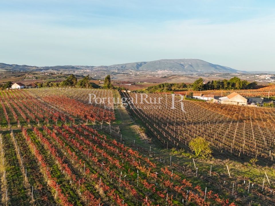 Farm i Alenquer, Lisbon - foto 1