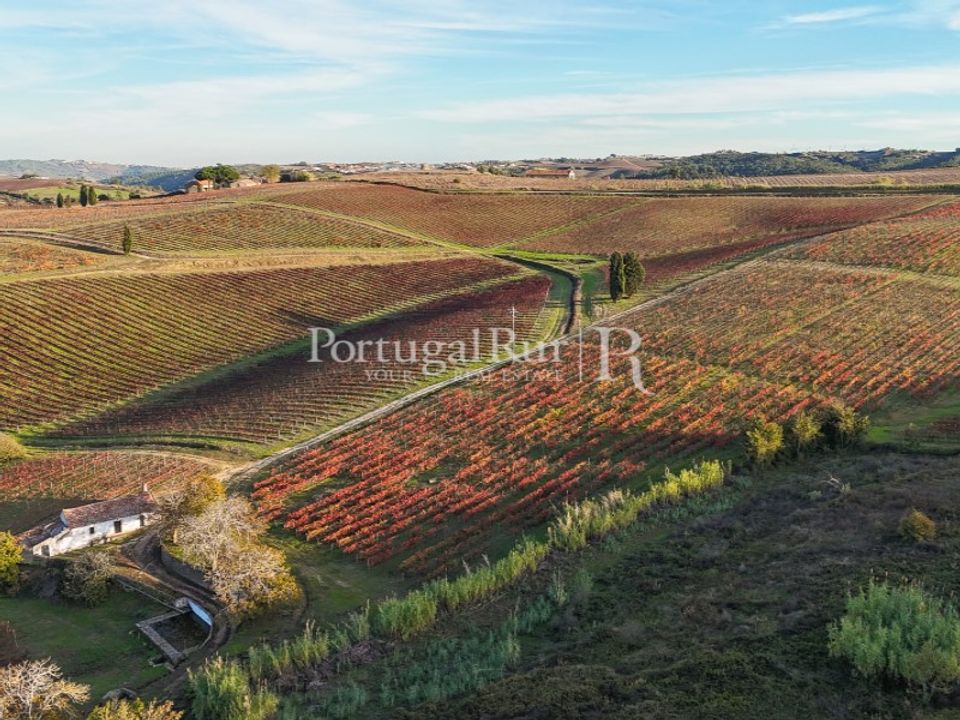 Farm i Alenquer, Lisbon - foto 3