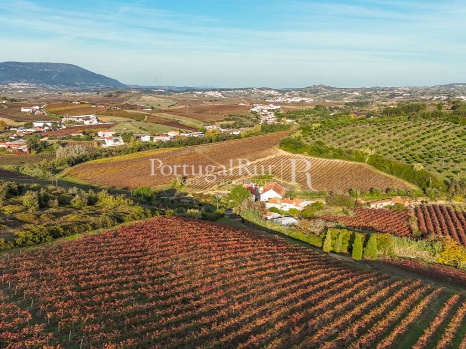 Farm i Alenquer, Lisbon - foto 4