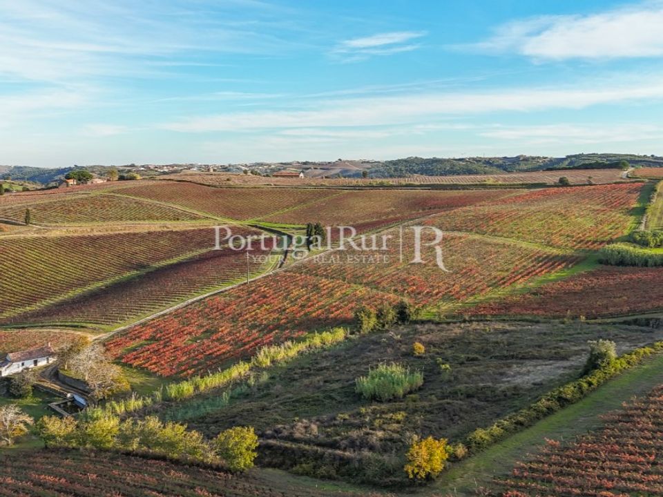 Farm i Alenquer, Lisbon - foto 5